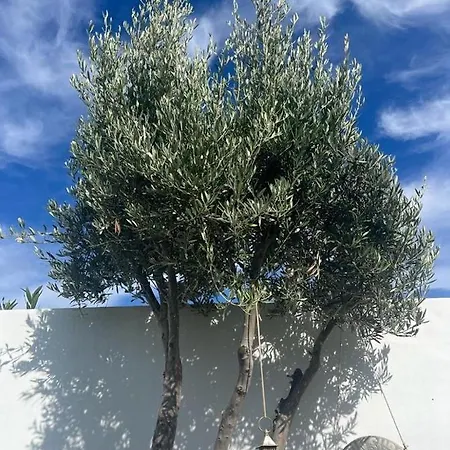 Villa La Hubara *