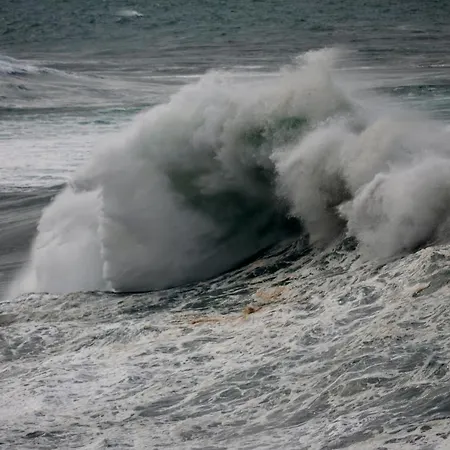 Appartamento Wave