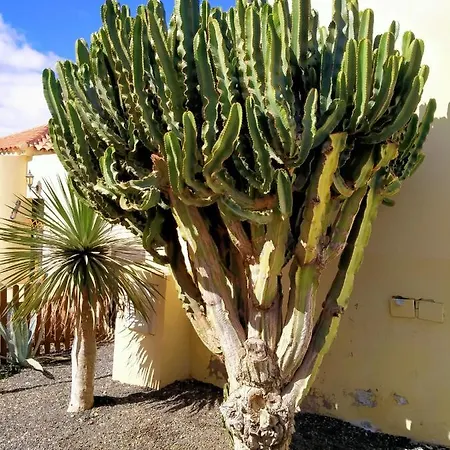 Holiday home Casa Alma Caleta De Fuste