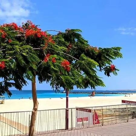 Spacieux Duplex Casa Maya Holiday home