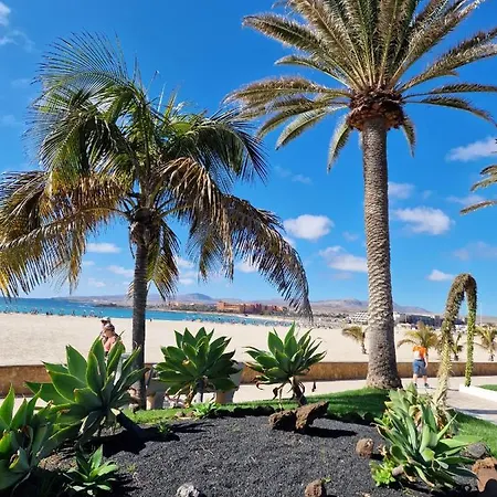 Caleta Apartment *