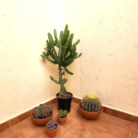 Bed & Breakfast Refugio Del Sol *