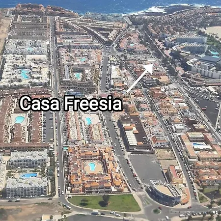 Apartment Casa Freesia