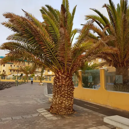 Apartment Caleta Amigos 6b *