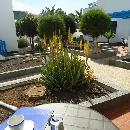 Appartement Vv 10a *