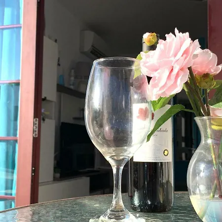 New Sun Apartment